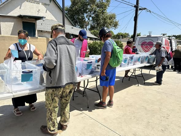 Governance and board work